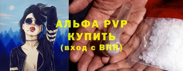 спиды Арсеньев