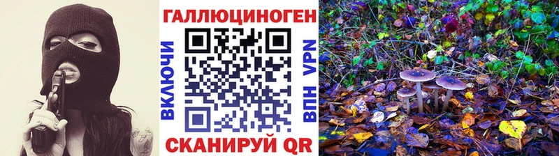 гидра как зайти  Рузаевка  Псилоцибиновые грибы мухоморы 