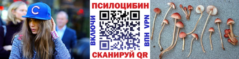 Псилоцибиновые грибы мухоморы Рузаевка