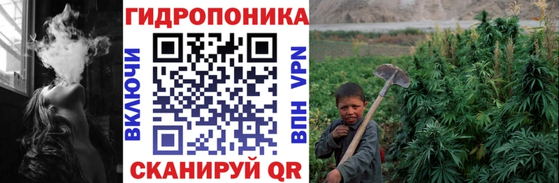 цены наркотик  Рузаевка  Бошки Шишки VHQ 